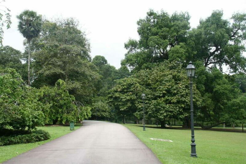 Singapore: Private Tour with a Local Guide - Who Is This Tour Best For?