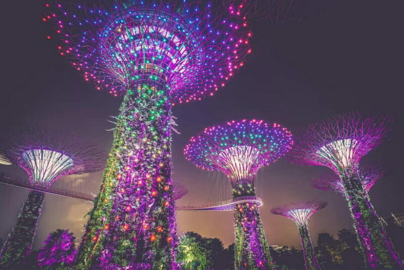 Singapore River Cruise, Night Garden Rhapsody & Spectra Show - Gardens by the Bay: Garden Rhapsody