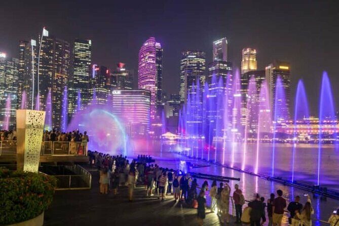 Singapore River Cruise with Spectra & Garden Rhapsody Light Show - Who Is This Tour Best For?