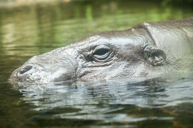 Singapore River & Night Safari-COMBO (Shared Transfer) - Customer Feedback Summary