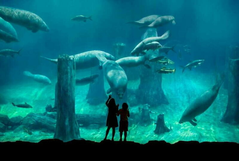 Singapore: River Wonders Entry Ticket - The Experience from Review Highlights