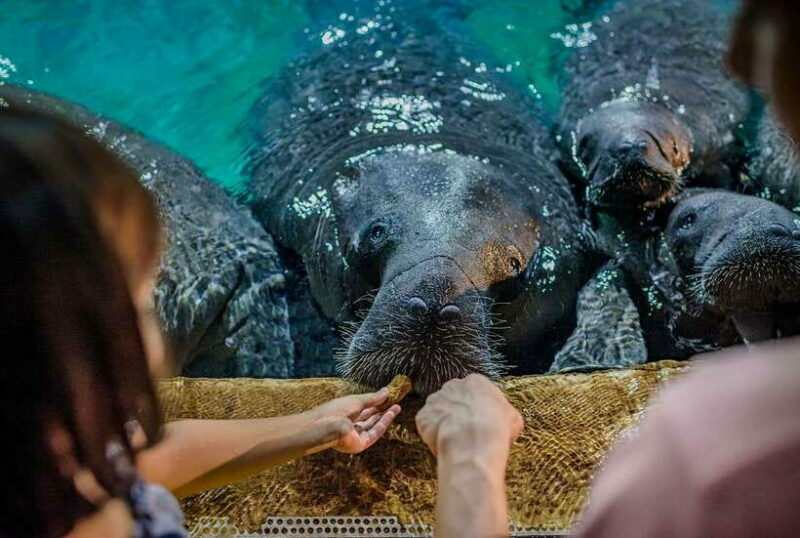 Singapore: River Wonders Entry Ticket - FAQ