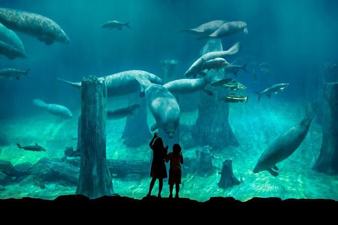 Singapore: River Wonders Entry Ticket - Customer Feedback and Ratings