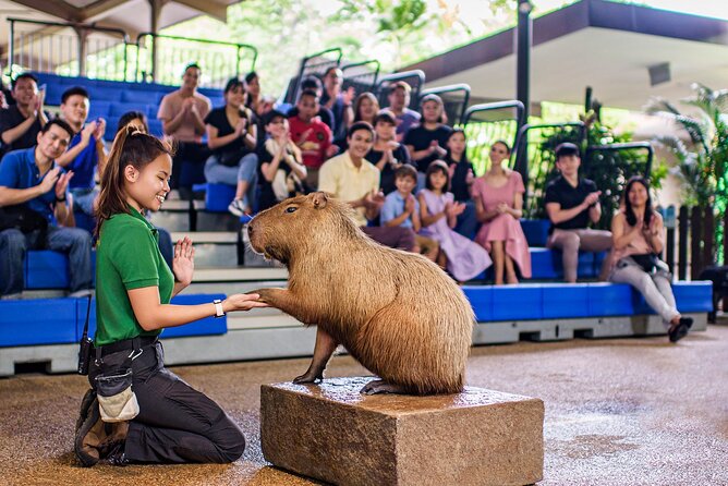 Singapore: River Wonders Entry Ticket - Visiting Recommendations