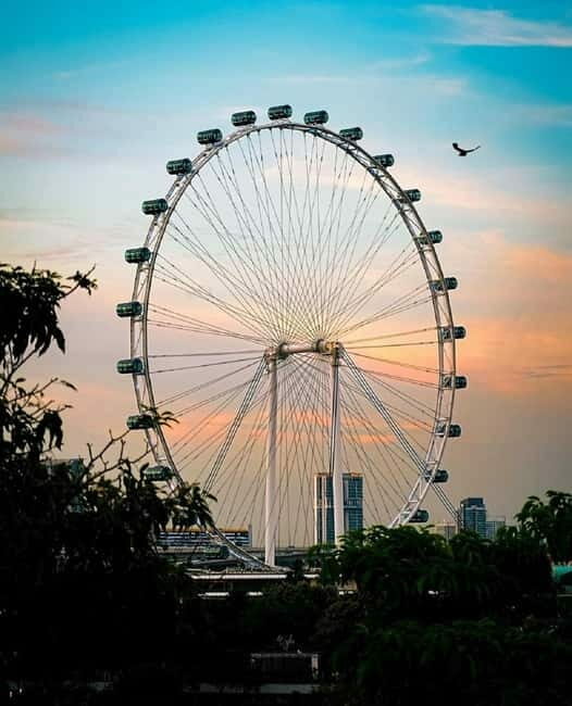 Singapore: Singapore Flyer Entry Ticket with Time Capsule - Key Points