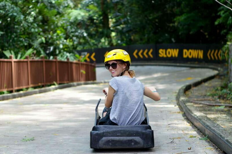 Singapore: Skyline Luge Sentosa Entry Ticket - The Scenic Skyride: More Than Just a Lift