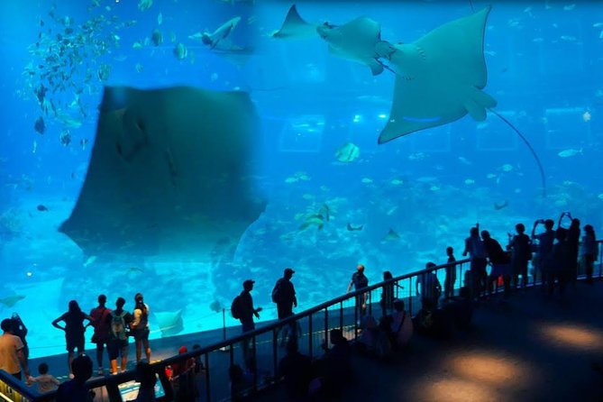 Singapore Universal Studio & S.E.A Aquarium-Combo One-Day Pass(Shared Transfer) - Inclusions