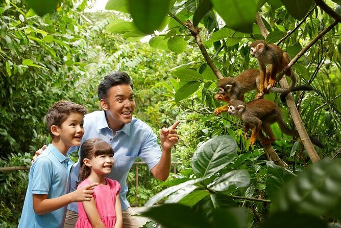Singapore Zoo - Key Points