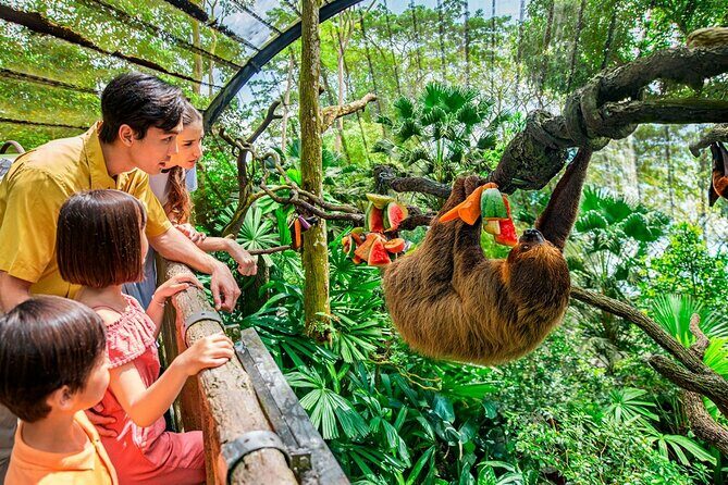 Singapore Zoo - Exploring the Singapore Zoo: What You Can Expect