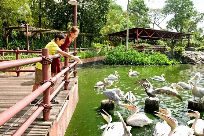 Singapore Zoo - The Sum Up: Who Will Love the Singapore Zoo Tour?