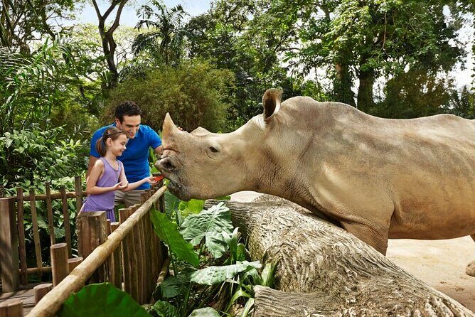 Singapore Zoo - Frequently Asked Questions (FAQs)
