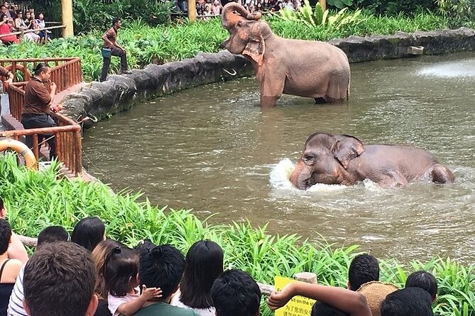 Singapore Zoo Entry Ticket - Conservation and Research Focus