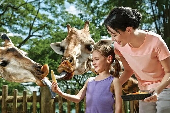 Singapore Zoo Entry Ticket - Visitor Feedback and Highlights