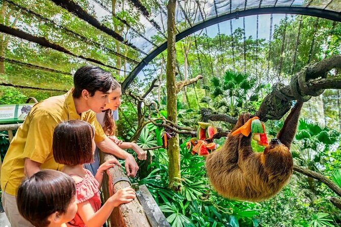 Singapore Zoo & Night Safari Day ( Tickets & Transfer ) - An In-Depth Look at the Tour Experience
