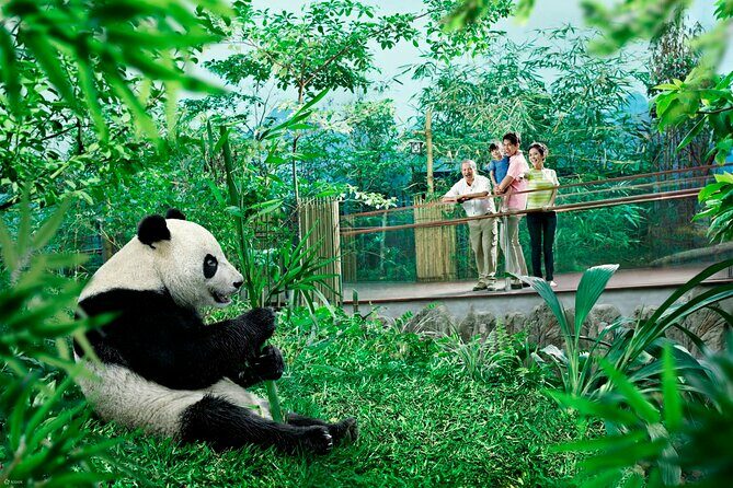 Singapore Zoo & Night Safari Day ( Tickets & Transfer ) - FAQ
