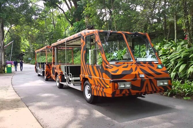 Singapore Zoo With Tram Ride Experience for Tourist - Accessibility Features