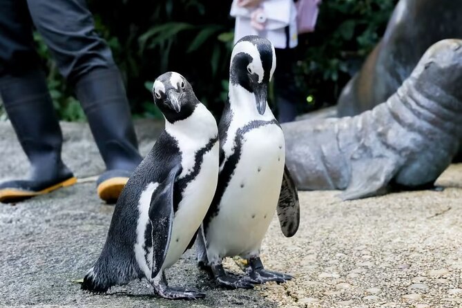 Singapore Zoo With Tram Ride Experience for Tourist - Animal Interaction Policies