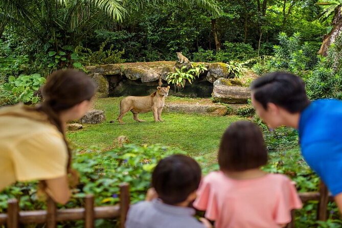 Singapore Zoo With Tram Ride Experience for Tourist - Tram Ride Details