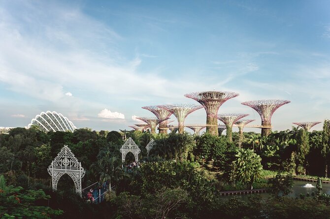 Singapore's Hidden Treasures: A Cultural Exploration - Taking in the Local Experience