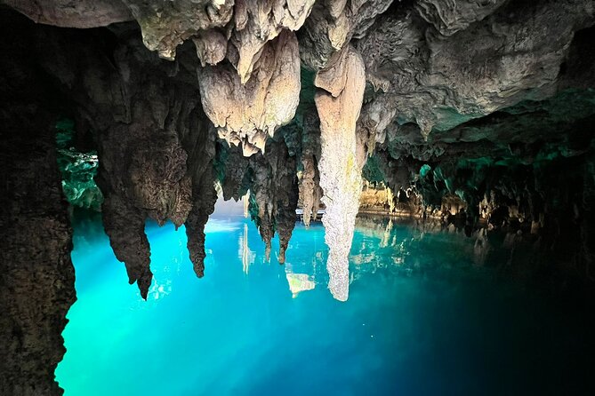Single ATV, Horseback Riding, Ziplines and Cenote Swim - Transportation and Accessibility