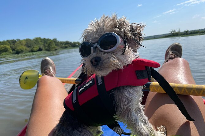Single Guided Kayaking Tour Near Chicago - Cancellation Policy
