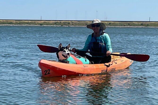 Single Kayak Rental - Setting the Scene: What You Can Expect