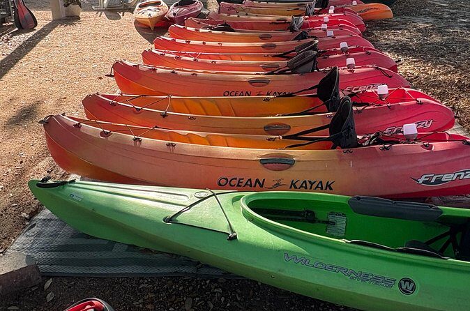 Single Kayak Rental - Why This Kayak Rental is a Great Choice