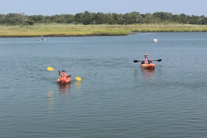 Single Kayak Rental - Reviews and Customer Feedback