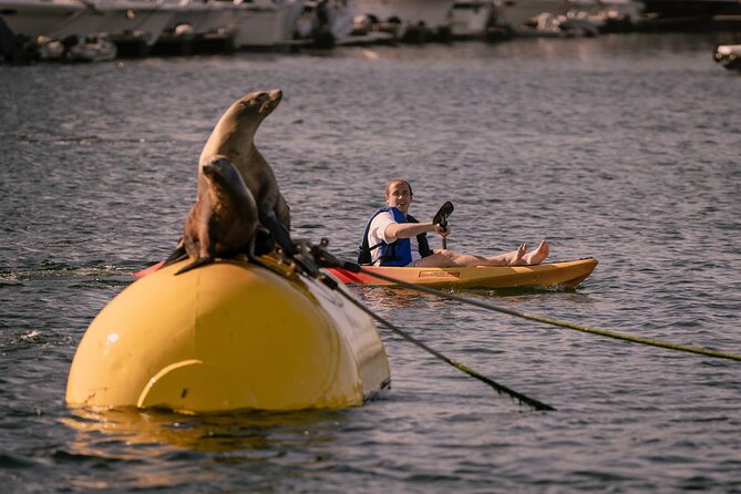 Single Kayak Rental in Mission Bay - Health and Accessibility Information