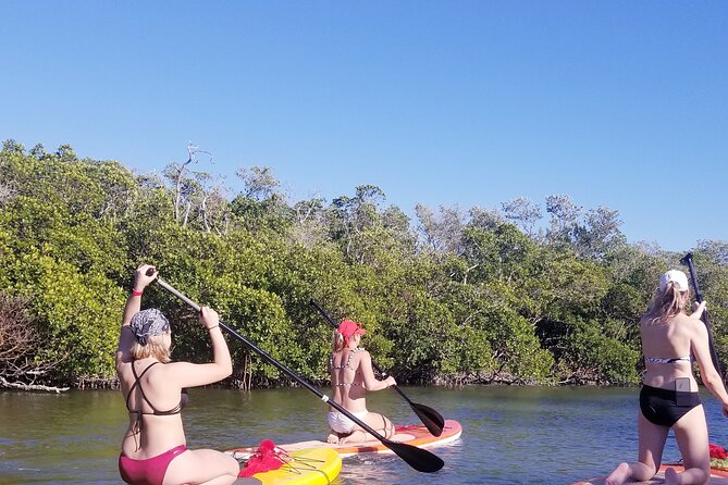 Single Kayak Rental on Big Hickory Pass - Watch for Dolphins and Manatees
