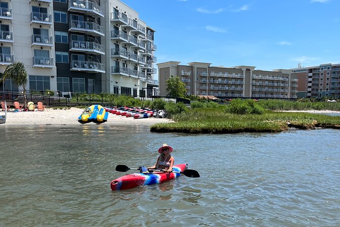 Single Kayak Rentals in Ocean City, MD - Wildlife Sightings on the Water