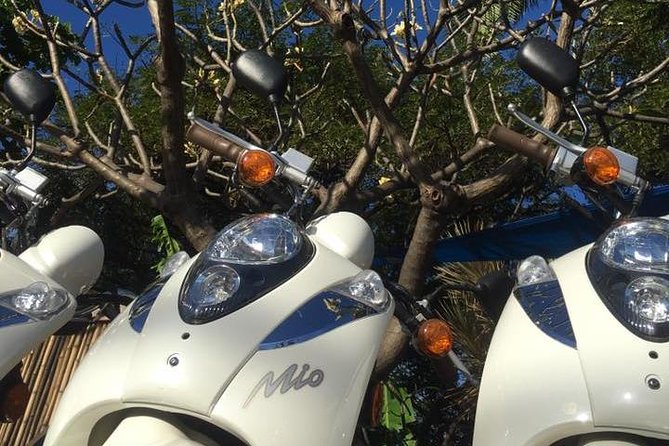 Single Passenger Moped/Scooter - 18+ NO Motorcycle License Needed - Accessibility and Group Size