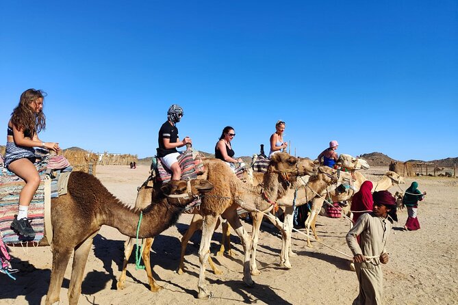 Single Quad Biking in Hurghada - Itinerary Highlights