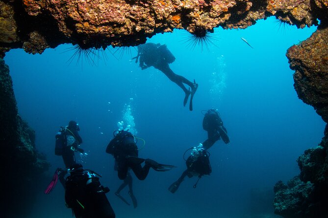 Single Scuba Try-Dive in Puerto Del Carmen - Small Groups - 2 Hours - Pricing and Cancellation Policy