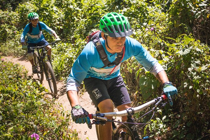 SINGLETRACK MOUNTAIN BIKE - Guided Through the Jungle - Health and Safety Information