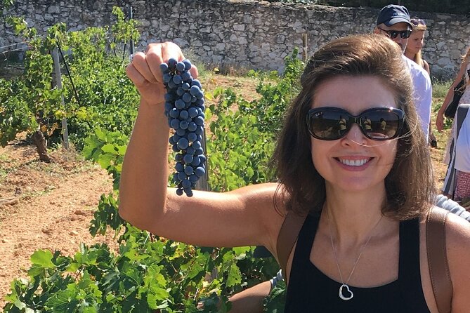 Singular Valencia Wine Tour Utiel Requena Wineries - Transportation and Accessibility