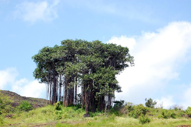 Sinhagad Fort Trip (Guided Half Day Sightseeing Tour) - Pickup Information
