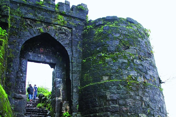 Sinhagad Fort Trip (Guided Half Day Sightseeing Tour) - Customer Feedback Highlights