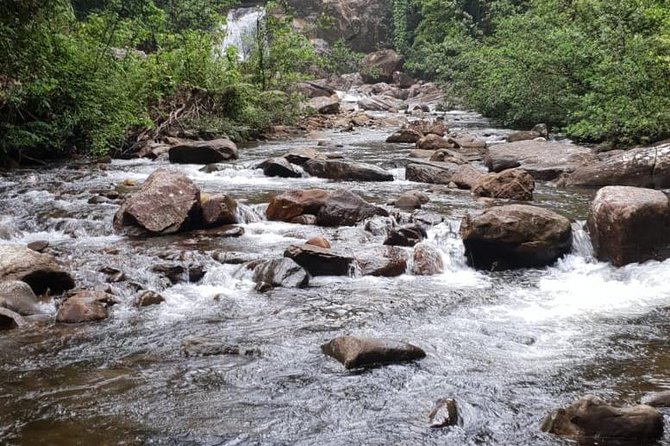 Sinharaja Expedition Short Tour With One Waterfall All Included - Inclusions