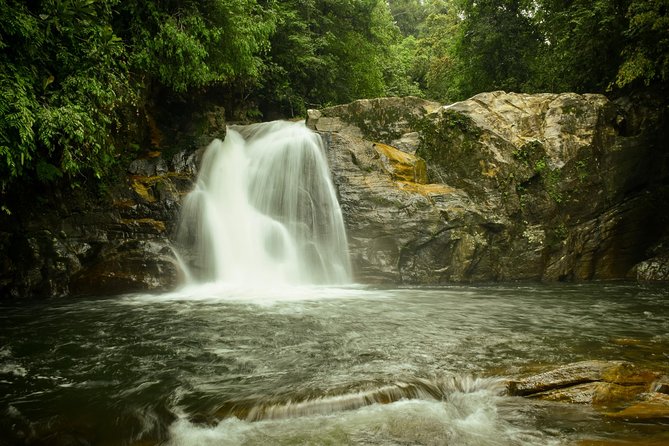 Sinharaja Expedition Short Tour With One Waterfall All Included - Reviews and Ratings