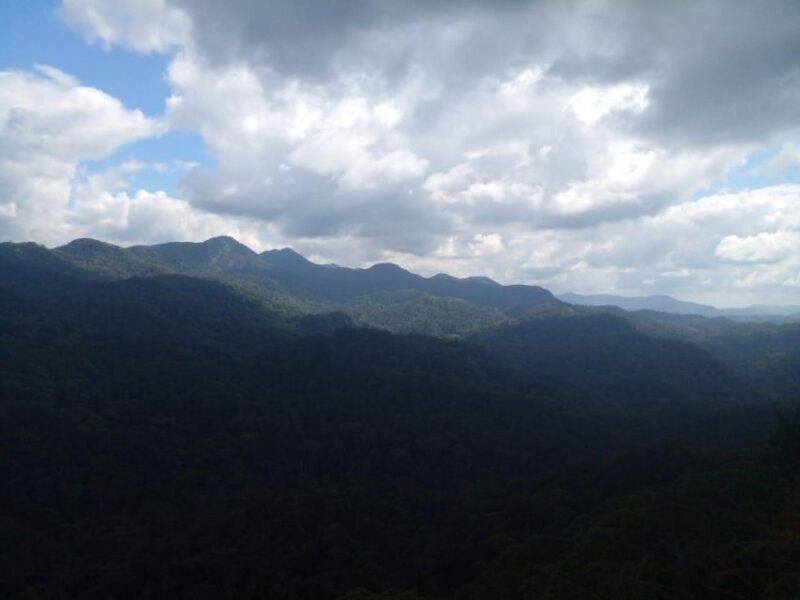 Sinharaja Forest Reserve Glamping With BBQ Night - Key Points