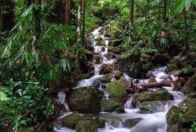 Sinharaja Forest Reserve Glamping With BBQ Night - Included Amenities