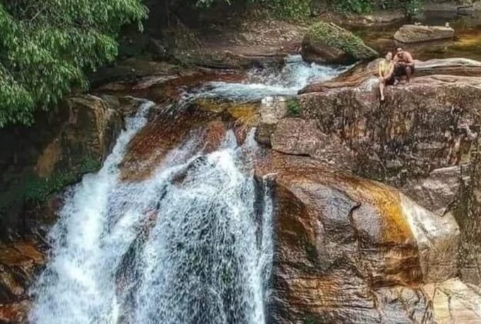 Sinharaja Forest Reserve Glamping With BBQ Night - Safety and Restrictions
