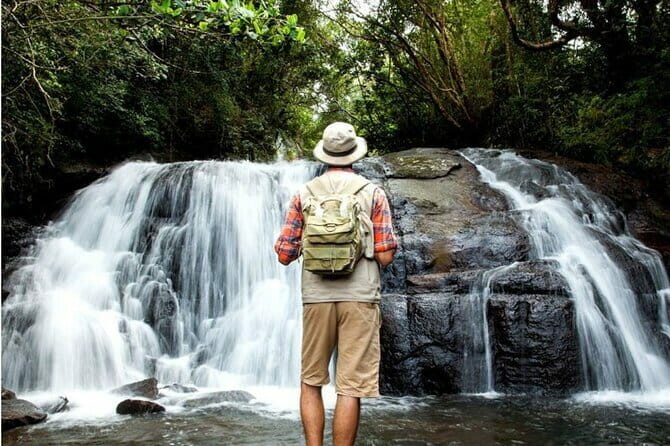 Sinharaja Rain Forest Day Tour from Mirissa, Galle, Bentota Area - Key Points