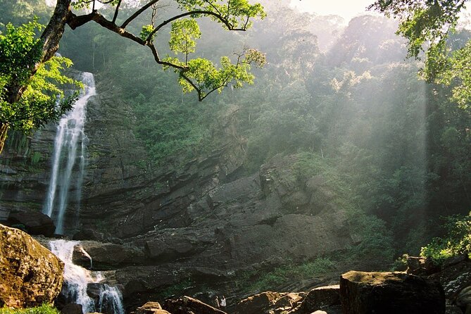 Sinharaja Rain Forest Tour From Colombo - Booking Information