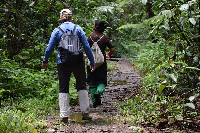 Sinharaja Rain Forest Tour From Colombo - Highlights of the Tour