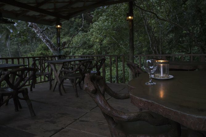 Sinharaja' rainforest - Discovery Tour (half day) - The Guided Experience and Wildlife Spotting