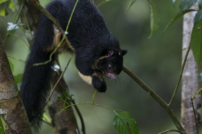 Sinharaja' rainforest - Discovery Tour (half day) - Final Thoughts