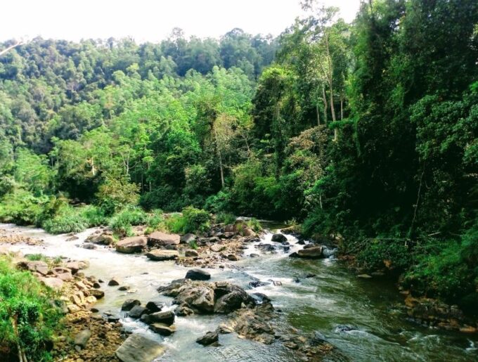 Sinharaja Rainforest Private & Customize Tour - Pickup & Drop-off Locations