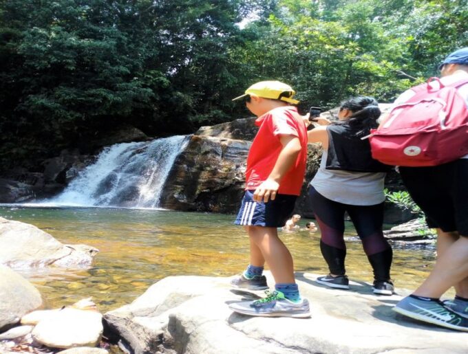 Sinharaja Rainforest Private & Customize Tour - Cancellation Policy